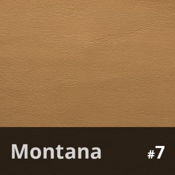Montana 7